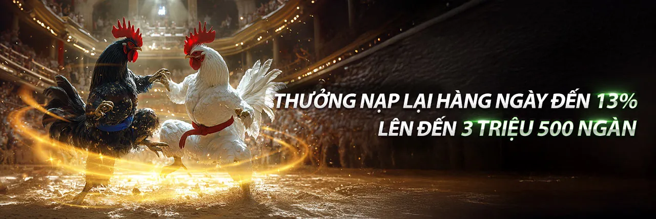 Sân đấu đá gà trực tuyến kịch tính tại 18bet